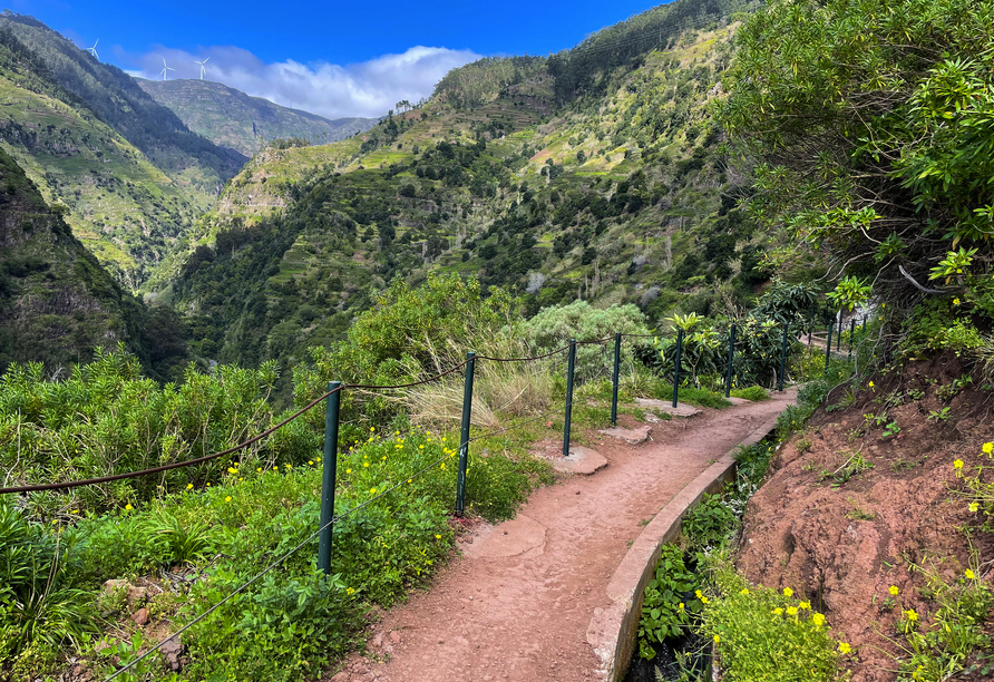 Die leichte Levada-Wanderung führt Sie durch die wunderschöne Natur Madeiras.