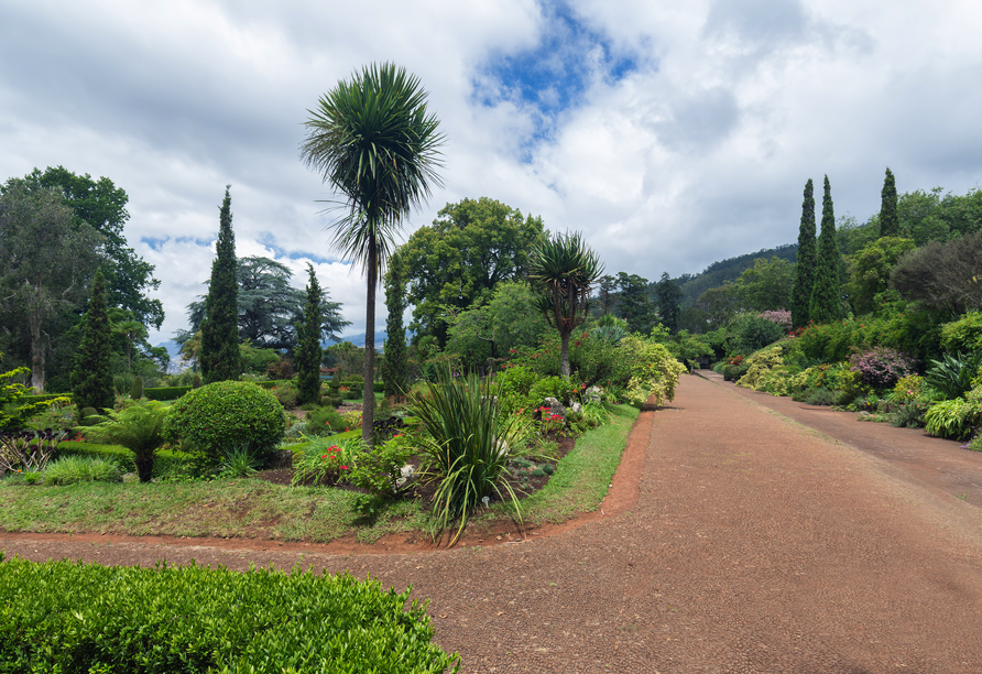 Freuen Sie sich auf den Ausflug in den Palheiro Garten in Funchal. Der Eintritt ist für Sie inklusive!