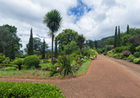 Freuen Sie sich auf den Ausflug in den Palheiro Garten in Funchal. Der Eintritt ist für Sie inklusive!
