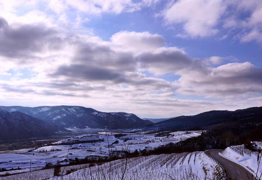 Die winterliche Wachau wird Sie verzaubern.