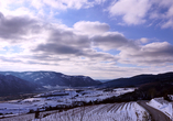 Die winterliche Wachau wird Sie verzaubern.