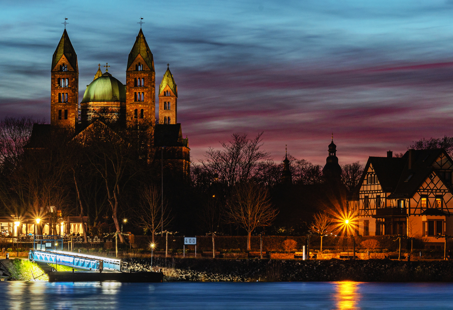 Blick auf Speyer vom Rhein aus