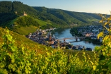 Erleben Sie die Naturidylle rund um die Mosel.