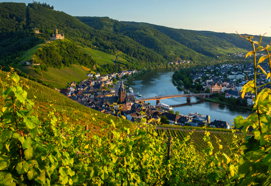 Erleben Sie die Naturidylle rund um die Mosel.