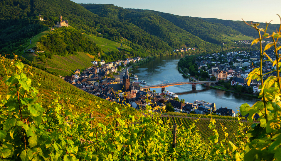 Erleben Sie die Naturidylle rund um die Mosel.