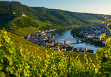 Erleben Sie die Naturidylle rund um die Mosel.