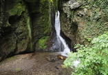 Wandern Sie zum Wasserfall im Tiefenbachtal nahe Bernkastel-Kues und lassen Sie sich von diesem Naturschauspiel verzaubern.