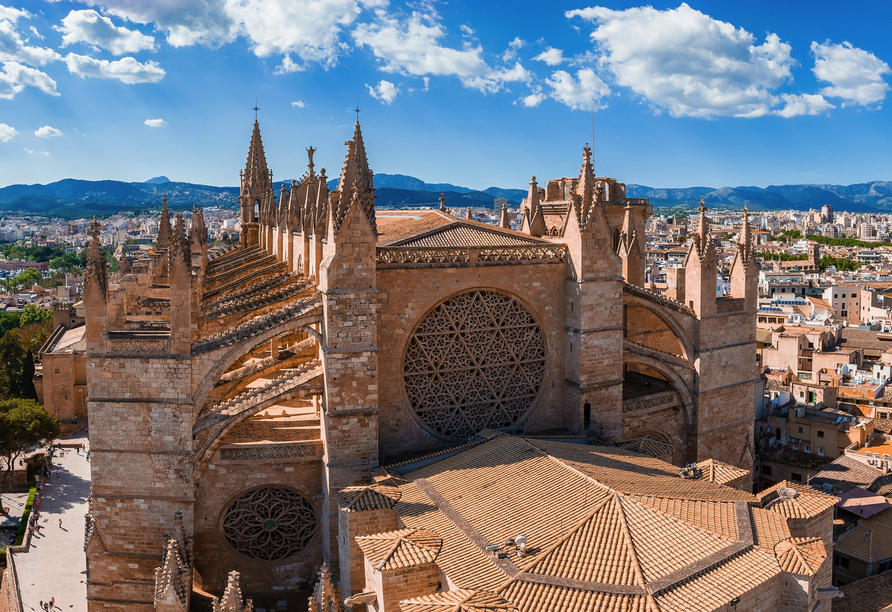 Die Kathedrale La Seu sollten Sie unbedingt von Nahem betrachten.