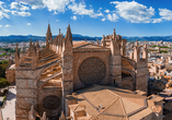 Die Kathedrale La Seu sollten Sie unbedingt von Nahem betrachten.