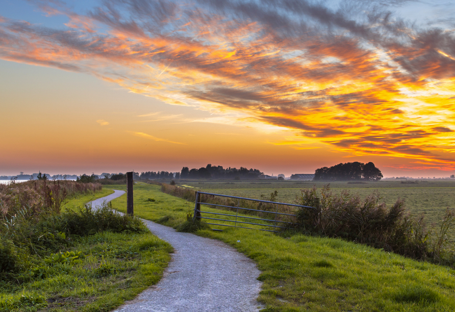 Idyllische Wander- und Radwege in Friesland