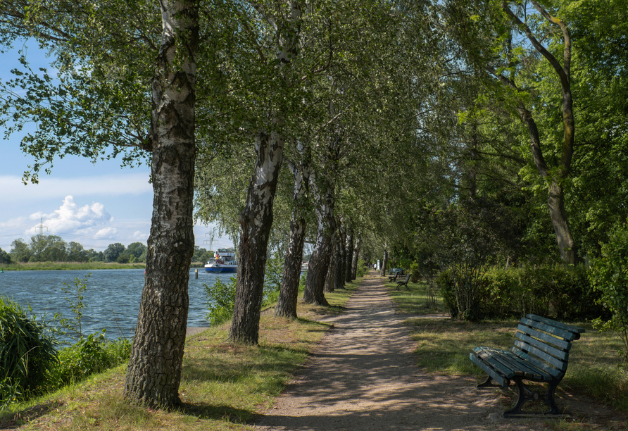 Die Havelpromenade in Ketzin lädt zum Spazieren ein.