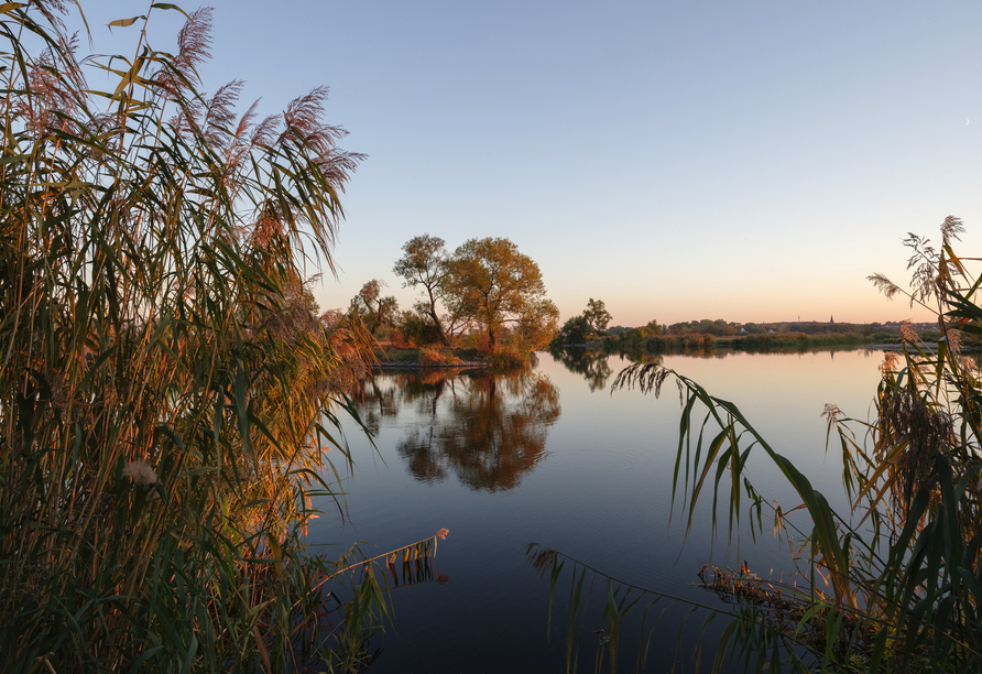 Der Naturpark Westhavelland versprüht zu jeder Jahreszeit seinen Charme.