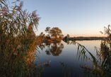 Der Naturpark Westhavelland versprüht zu jeder Jahreszeit seinen Charme.