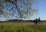 Zahlreiche Fahrradwege in der Umgebung führen Sie durch malerische Landschaften. 