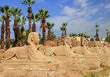 Die Karnak-Tempel sind die größte Tempelanlage Ägyptens (optional).