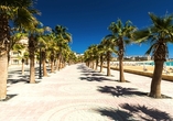 Flanieren Sie entlang der malerischen Promenade von Sahl Hasheesh.