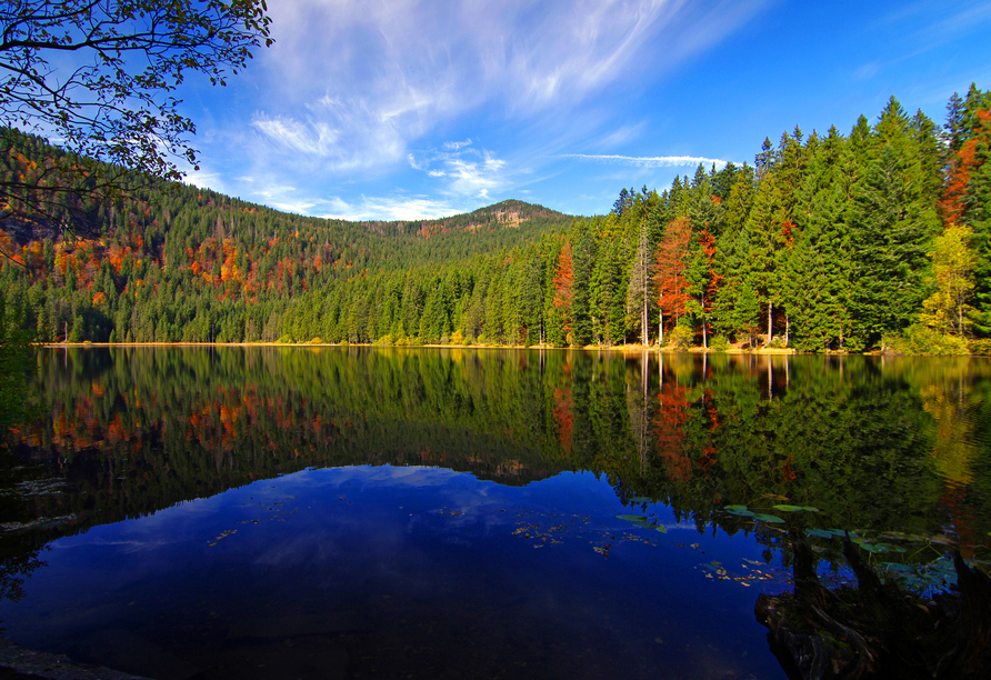Der Große Arbersee liegt idyllisch eingebettet in der Bayerischen Bergwelt.