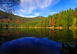 Der Große Arbersee liegt idyllisch eingebettet in der Bayerischen Bergwelt.