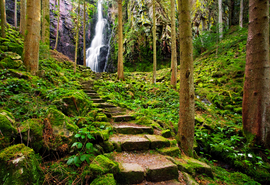 Der Burgbachwasserfall ist einer der höchsten freifallenden Wasserfälle in Deutschland. 