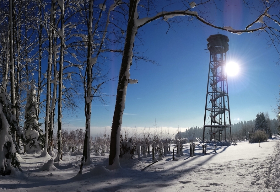 Vom Vogteiturm aus genießen Sie eine fantastische Aussicht.
