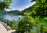 Ein wunderschöner Wanderweg führt Sie rund um den Thumsee bei Bad Reichenhall.