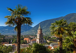 In Meran trifft alpiner Charme auf mediterranes Flair!