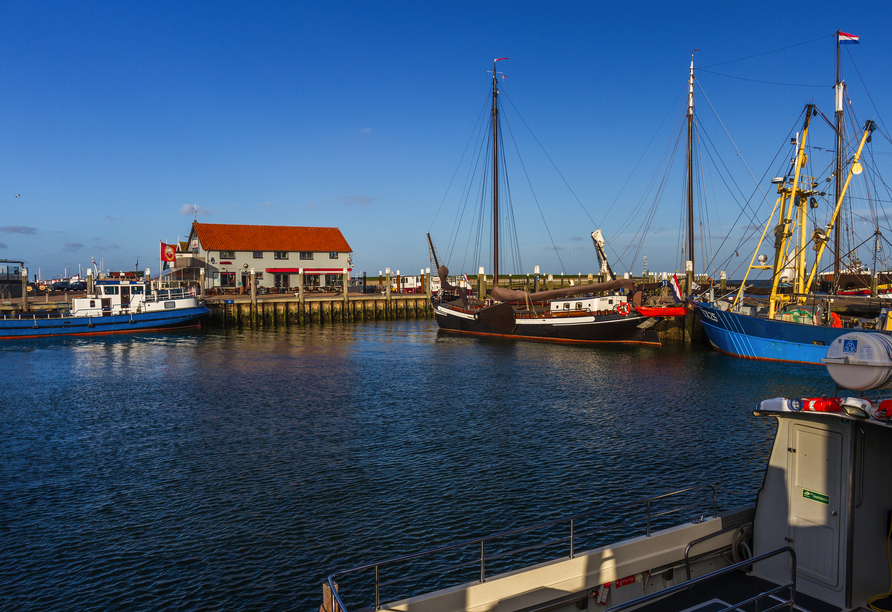 Der idyllische Hafen von Oudeschild.