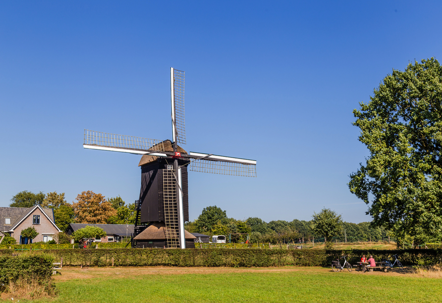 Die Hansestadt Doesburg ist für ihre Senfmühle bekannt.