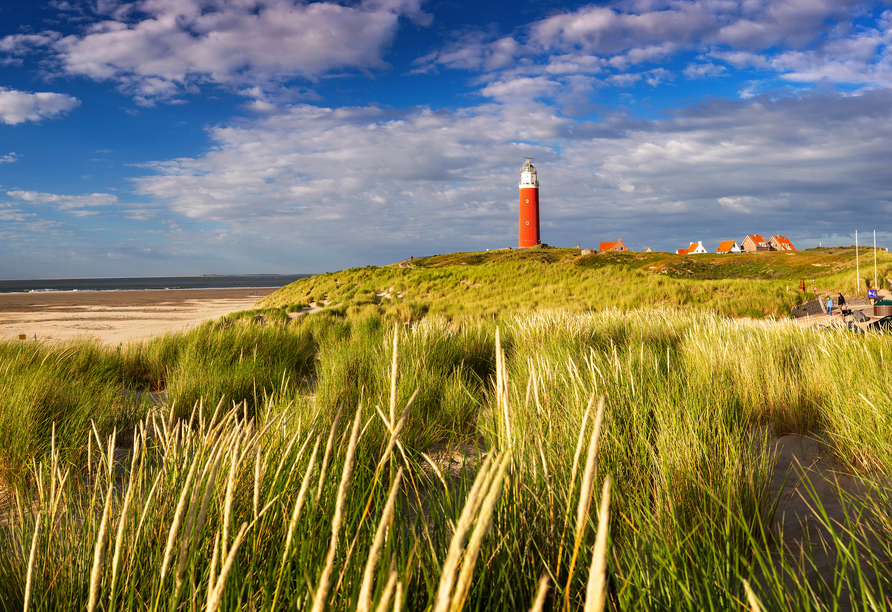 Erkunden Sie die schönen Strände auf Texel.