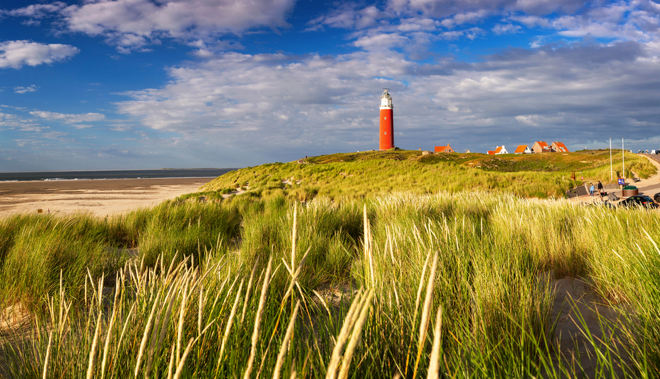 Erkunden Sie die schönen Strände auf Texel.
