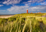 Erkunden Sie die schönen Strände auf Texel.