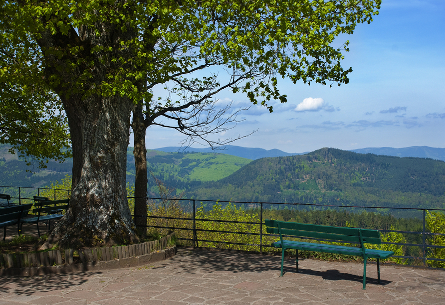Die Umgebung rund um Ihren Urlaubsort lädt zu tollen Ausflügen mit herrlichen Ausblicken ein. Wie der Mont-Sainte-Odile in Obernai. 