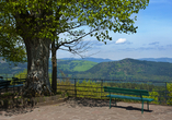 Die Umgebung rund um Ihren Urlaubsort lädt zu tollen Ausflügen mit herrlichen Ausblicken ein. Wie der Mont-Sainte-Odile in Obernai. 