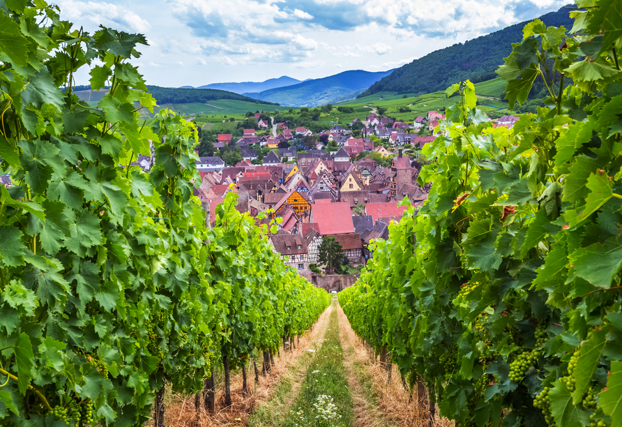 Das beschauliche Dorf Riquewihr liegt an der Elsässer Weinstraße.