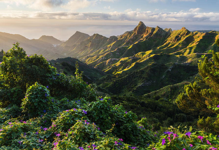 Das Anaga-Gebirge ist eine außergewöhnliche Naturkulisse.
