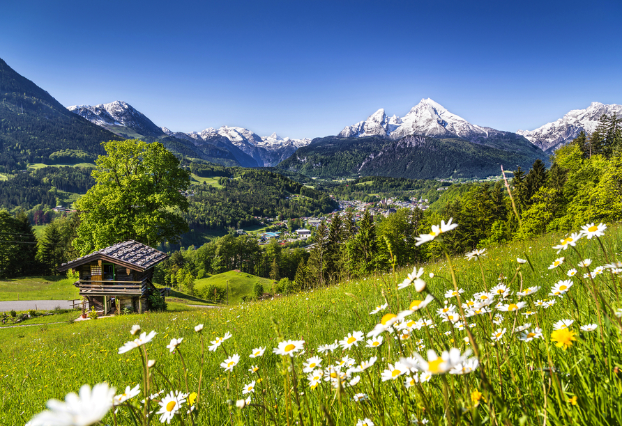 Erleben Sie in Berchtesgaden die Magie der Berge und grünen Almen.