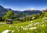Erleben Sie in Berchtesgaden die Magie der Berge und grünen Almen.