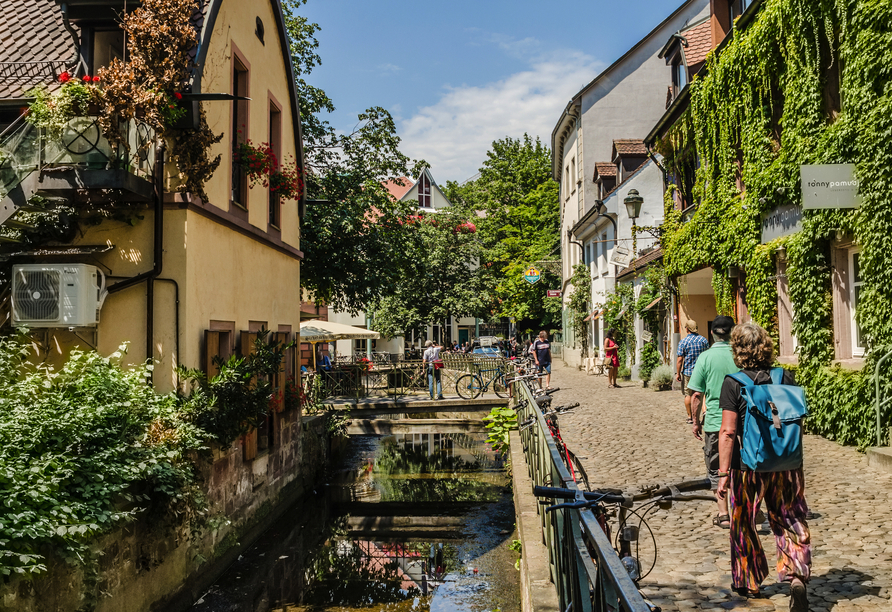 Wie wäre es mit einem Abstecher in das schöne Freiburg?