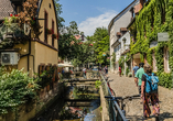 Wie wäre es mit einem Abstecher in das schöne Freiburg?