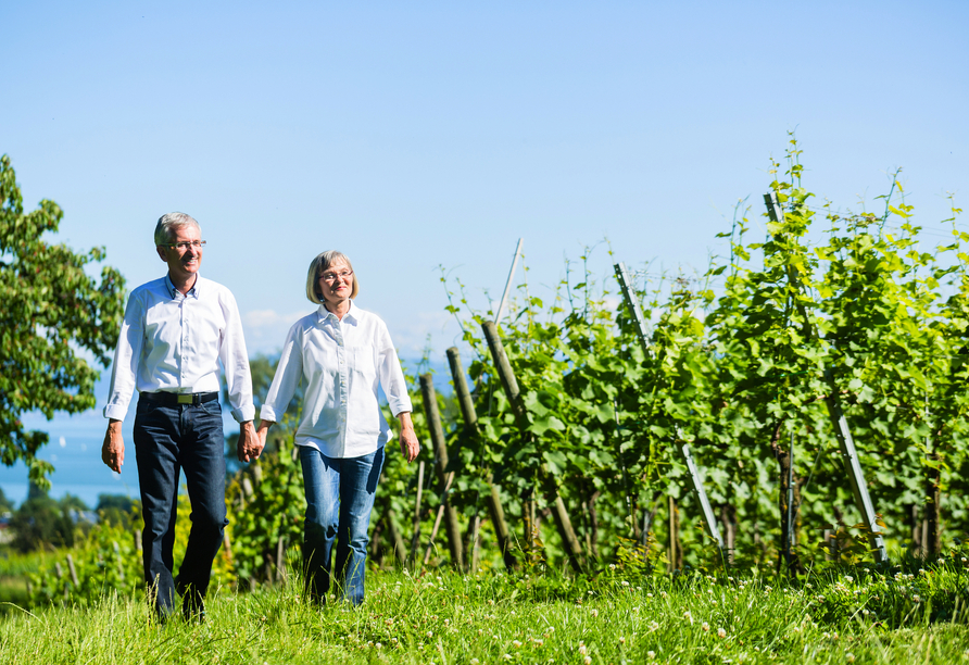 Spaziergang durch die Weinberge