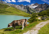 Der Rifflsee ist der höchste Bergsee Titrols auf 2.232 m Höhe.