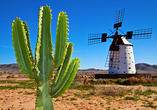 Auf Fuerteventura erwarten Sie neben eindrucksvollen Landschaften auch historische Dörfer und traditionelle Windmühlen.