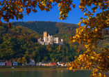 Ein Märchenschloss am Rhein – Stolzenfels verzaubert mit preußischer Pracht.