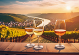 Der Mittelrhein wird im Herbst in goldenes Licht getaucht.