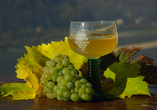 Ein Hoch auf den Herbst: Jetzt ist die Zeit für ein Glas Federweißer!