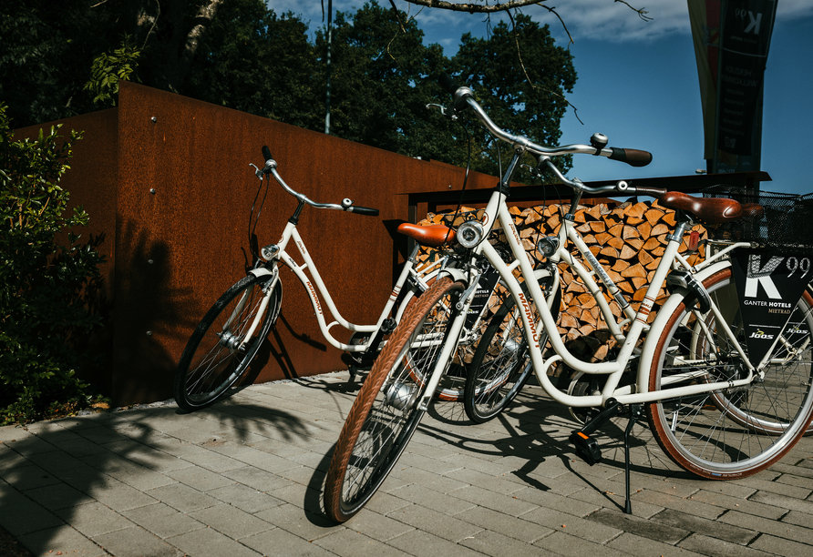 Leihen Sie sich ein Fahrrrad oder E-Bike, um die malerische Umgebung zu erkunden.
