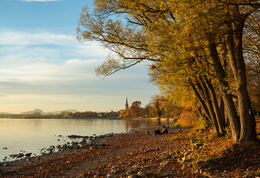 Radolfzell zeigt sich im Herbst von seiner sanften Seite.