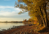 Radolfzell zeigt sich im Herbst von seiner sanften Seite.