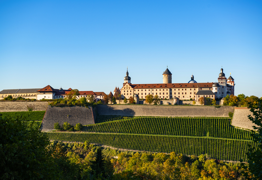 Die Festung Marienberg in Beleitung malerischer Weinberge