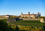 Die Festung Marienberg in Beleitung malerischer Weinberge